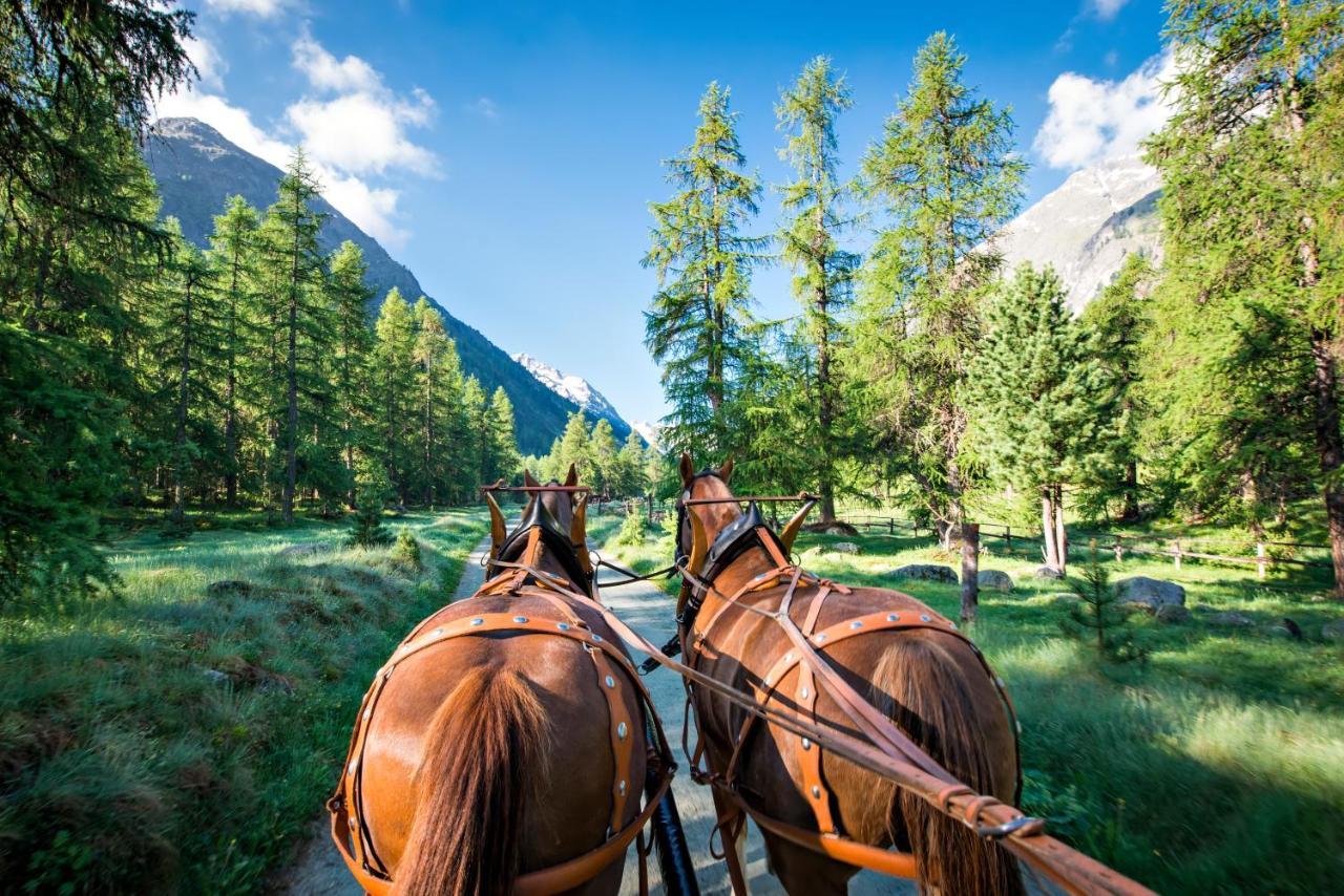 Hotel Roseg-Gletscher Pontresina Dış mekan fotoğraf