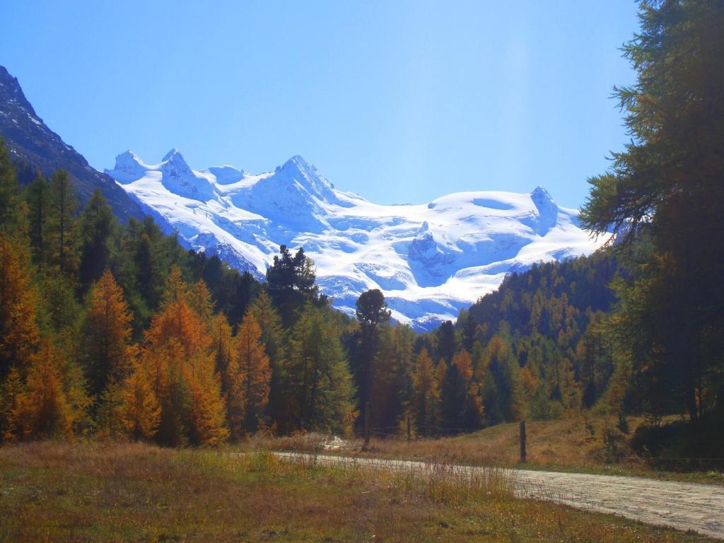 Hotel Roseg-Gletscher Pontresina Dış mekan fotoğraf