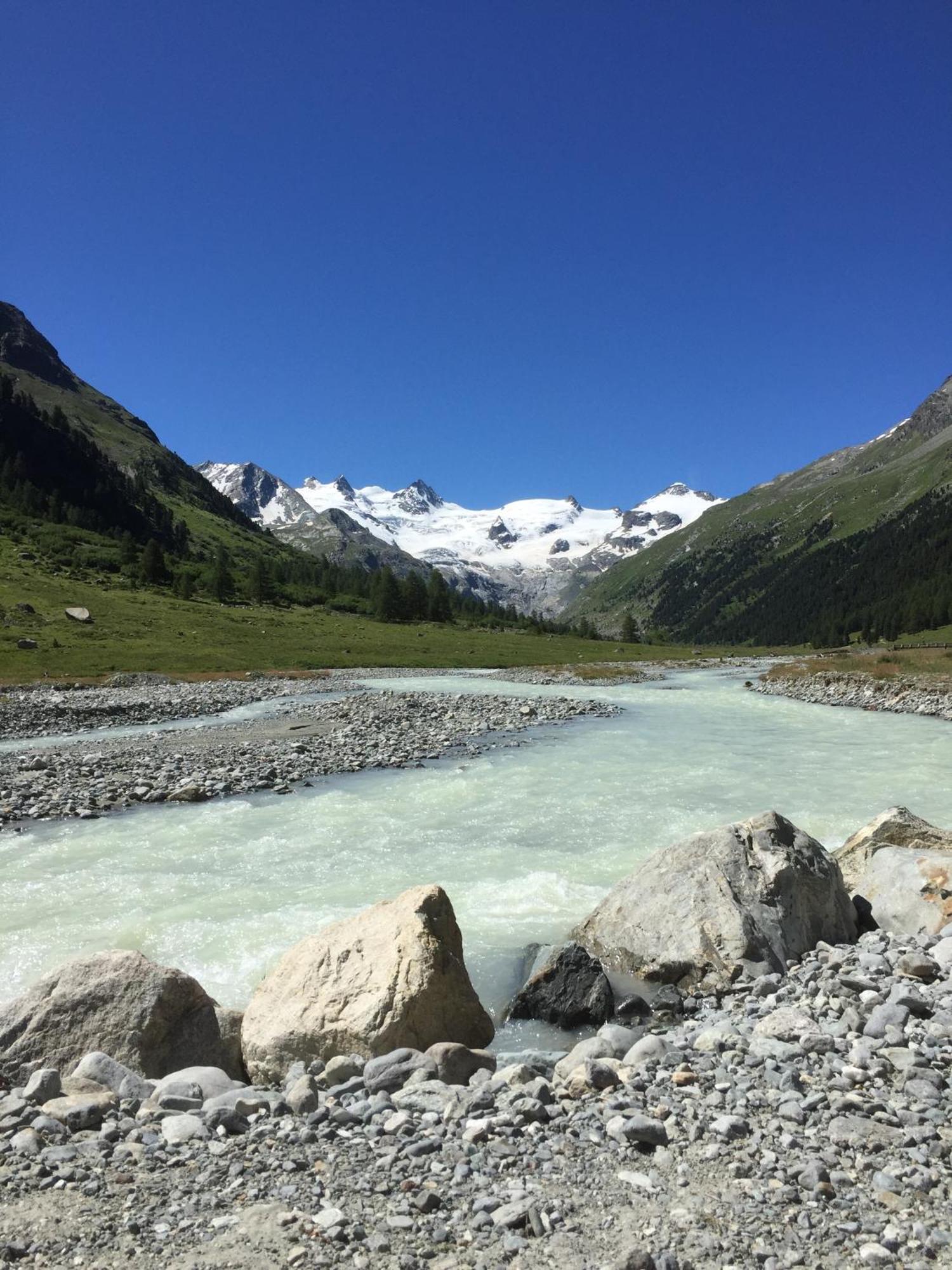 Hotel Roseg-Gletscher Pontresina Dış mekan fotoğraf