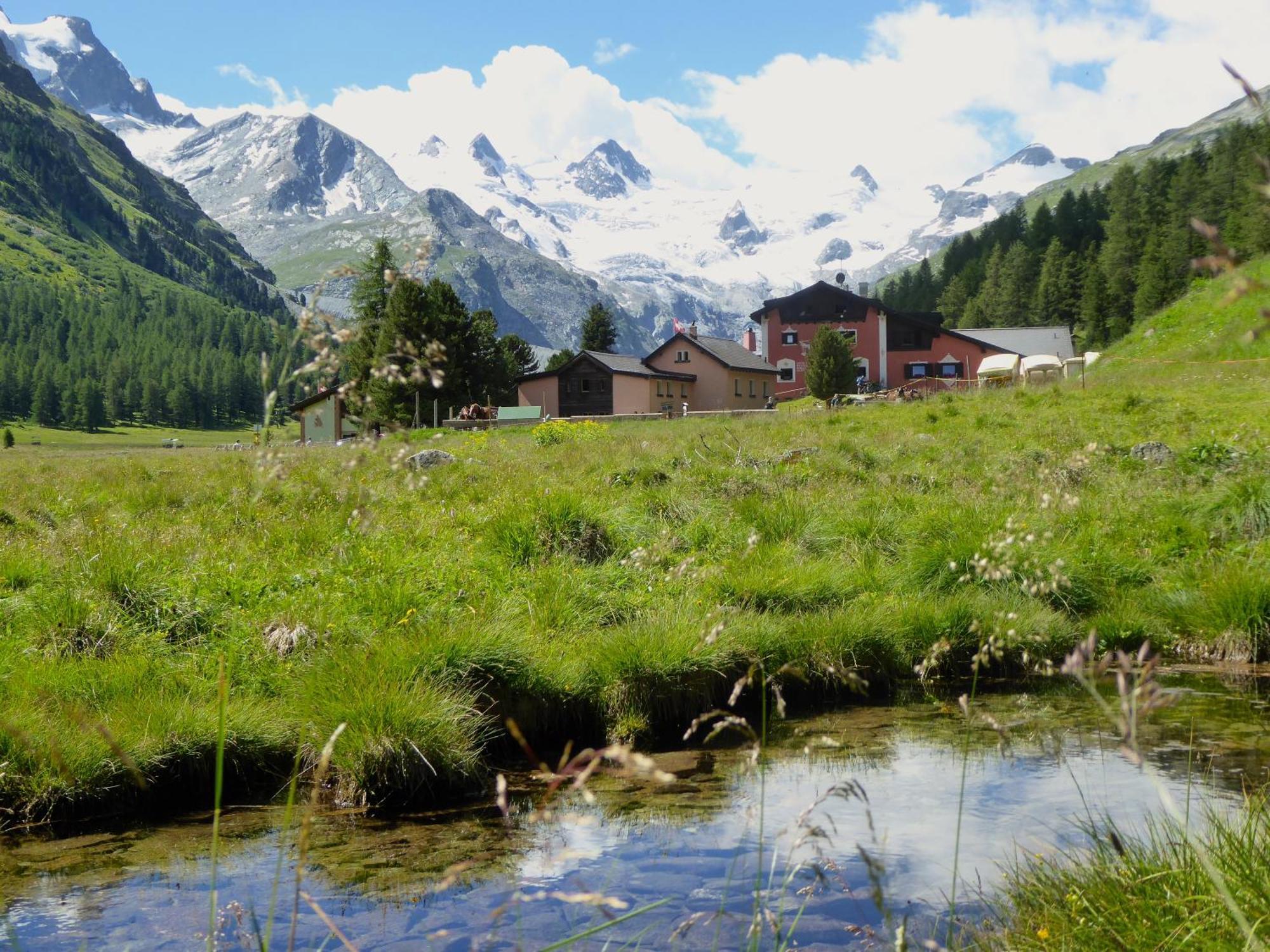 Hotel Roseg-Gletscher Pontresina Dış mekan fotoğraf