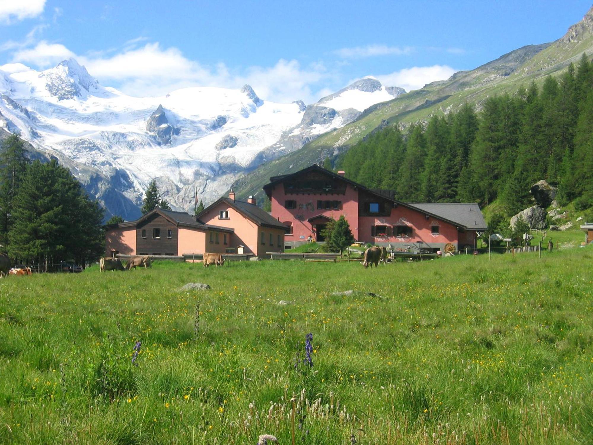 Hotel Roseg-Gletscher Pontresina Oda fotoğraf