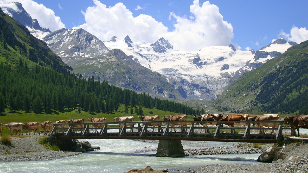 Hotel Roseg-Gletscher Pontresina Dış mekan fotoğraf